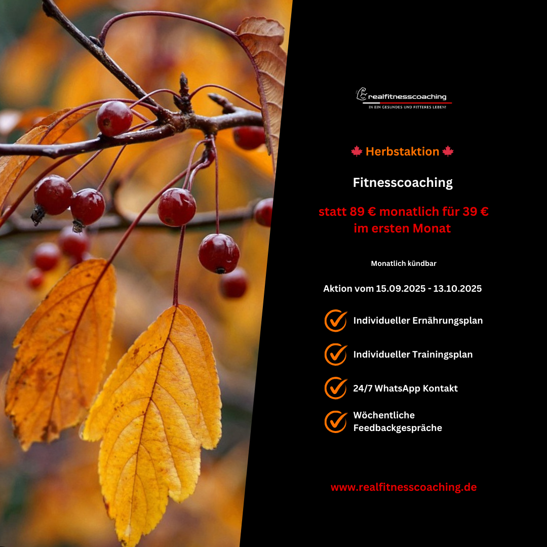 Fitnesscoaching